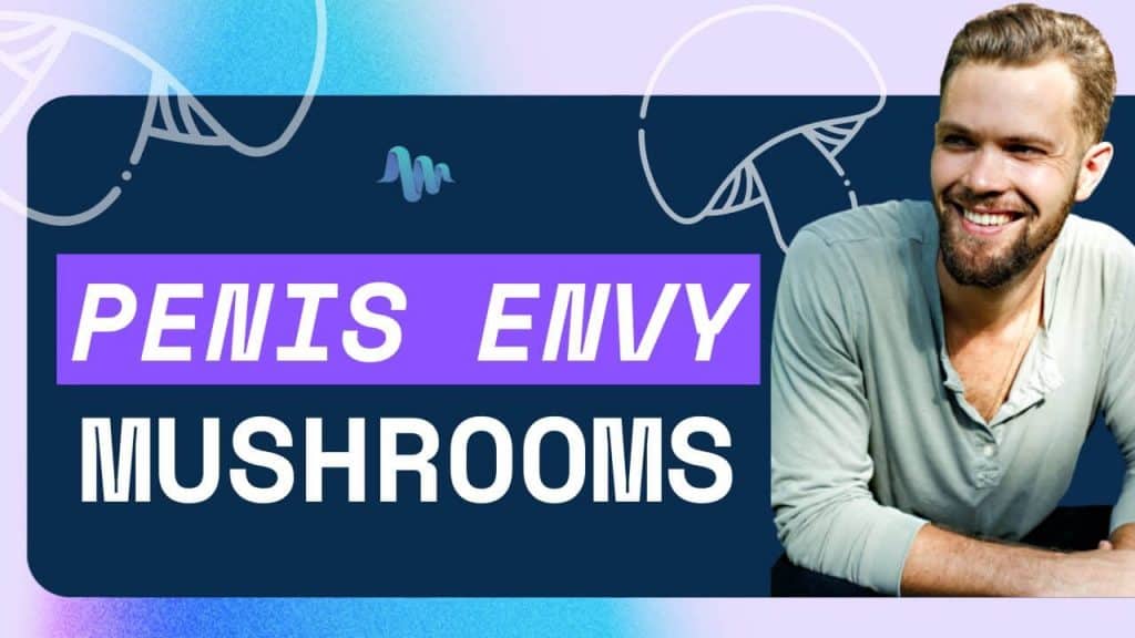 Penis Envy Mushrooms Effects Benefits Risks History