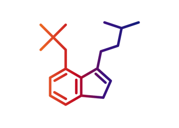 The Ultimate Guide To Psilocybin Mushrooms