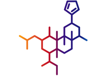 The Ultimate Guide to Salvia