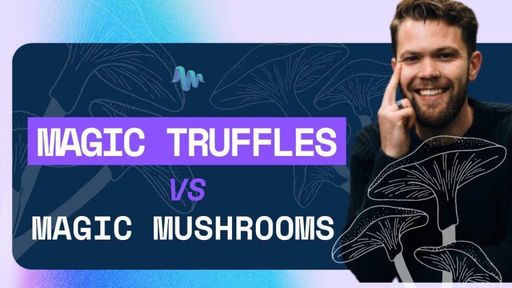 Magic Truffles VS Magic Mushrooms: What’s the Difference?