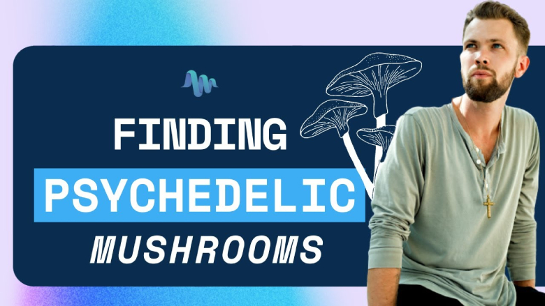 How to Find Magic Mushrooms