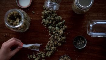 Image of Marijuana on a table