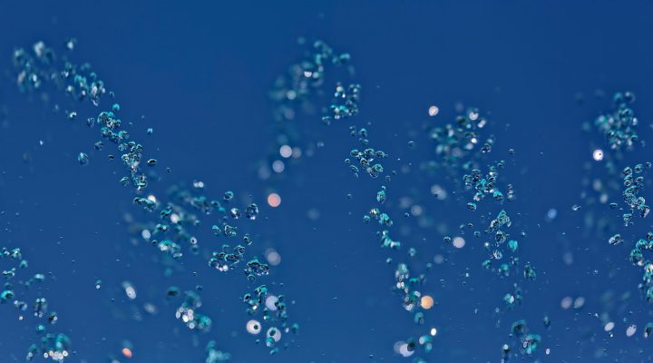 Microdosers psychedelics