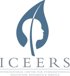 iceers logo
