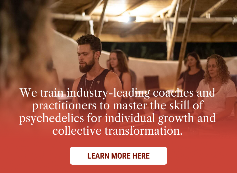 Psychedelic Coaching Institute