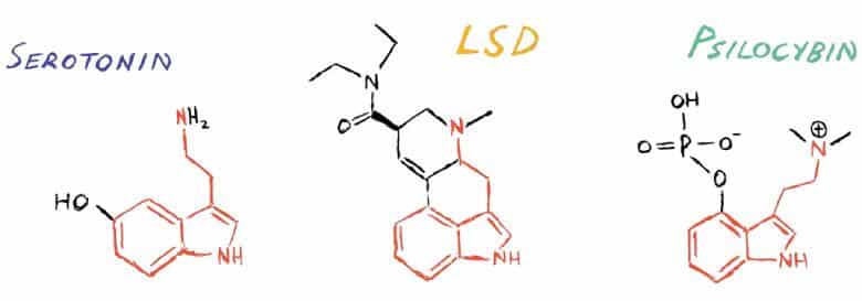 Sero LSD Psilo RED