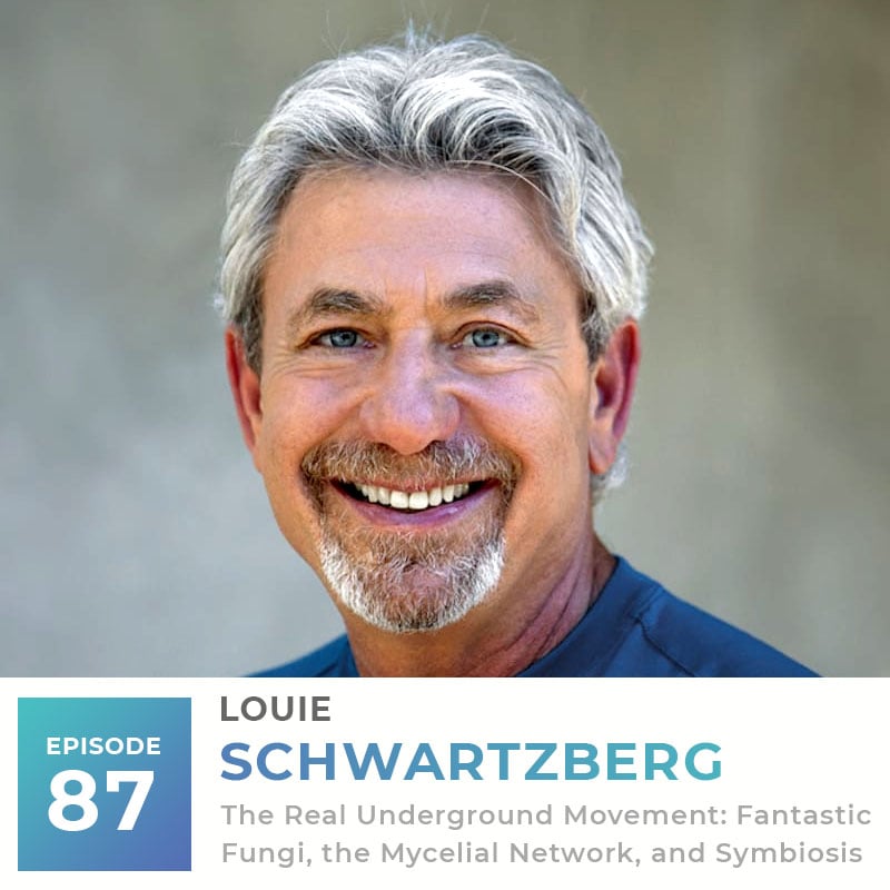 Louie Schwartzberg