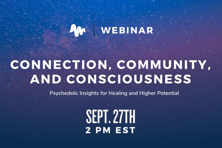 Connection, Community and Consciousness