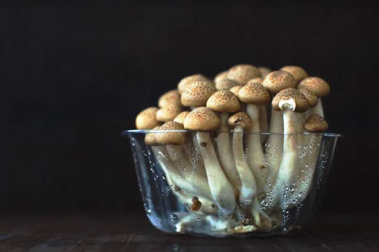 mushrooms in a transparent bowl