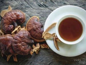 reiki mushroom tea