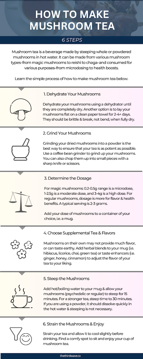 how to make mushroom tea infographic