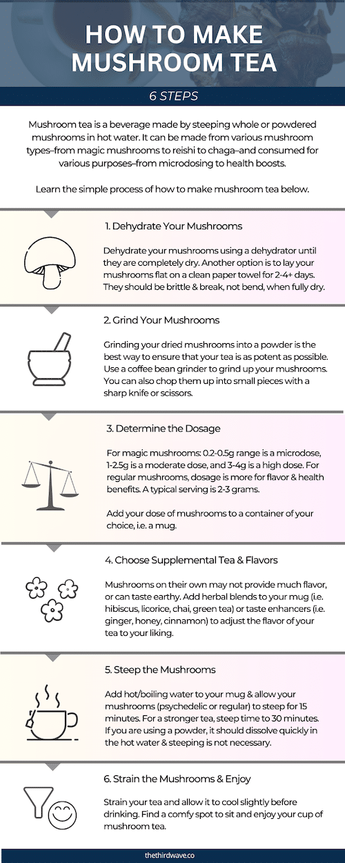 how to make mushroom tea infographic