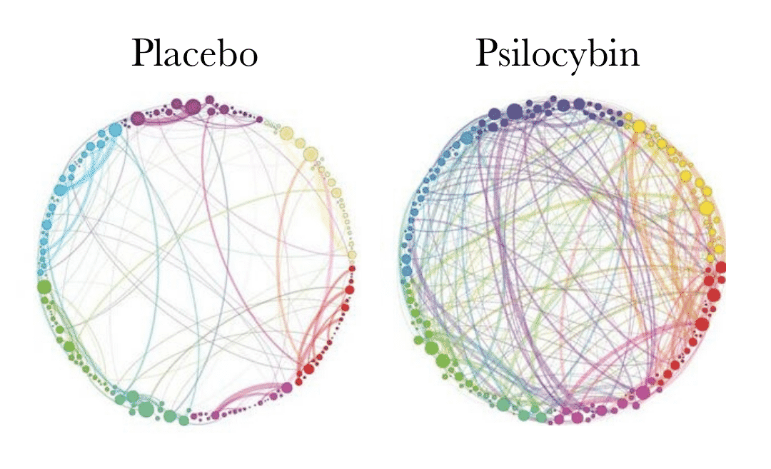 differences between psilocybin and placebo