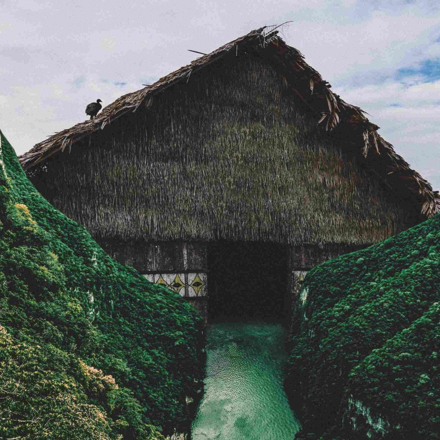 Ayahuasca retreat florida image