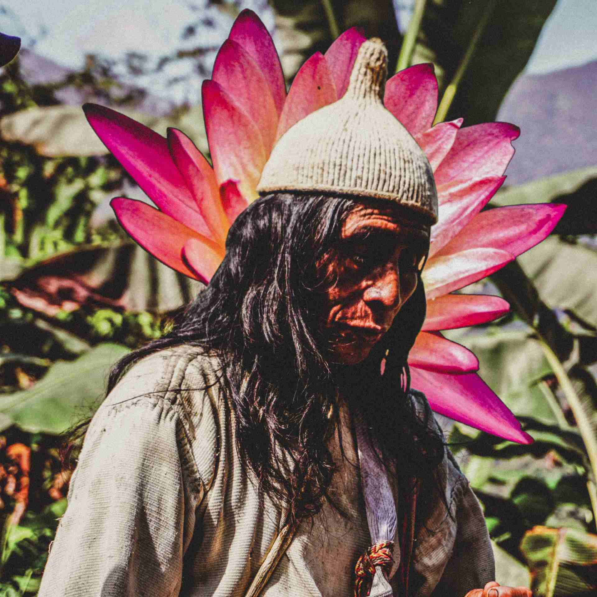 Ayahuasca Research: Where Science Meets Spirituality