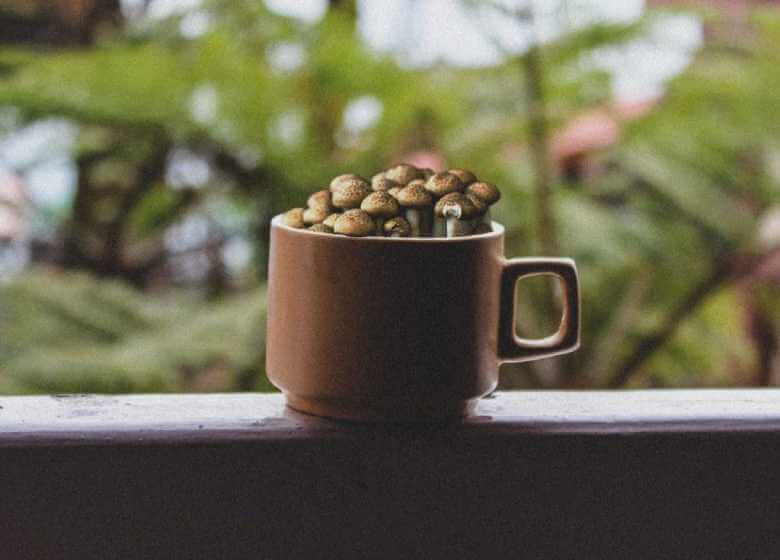 Mushroom Tea Variation