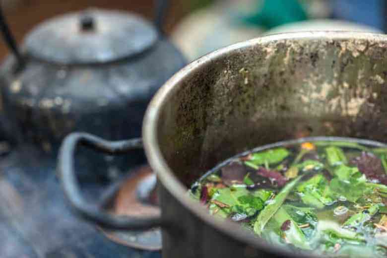 brewing ayahuasca