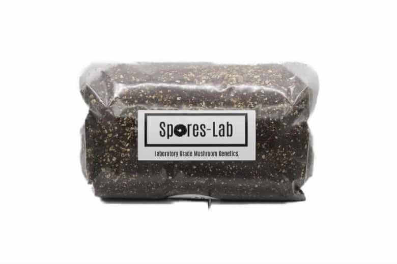 spores lab