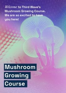 mushroom growing course