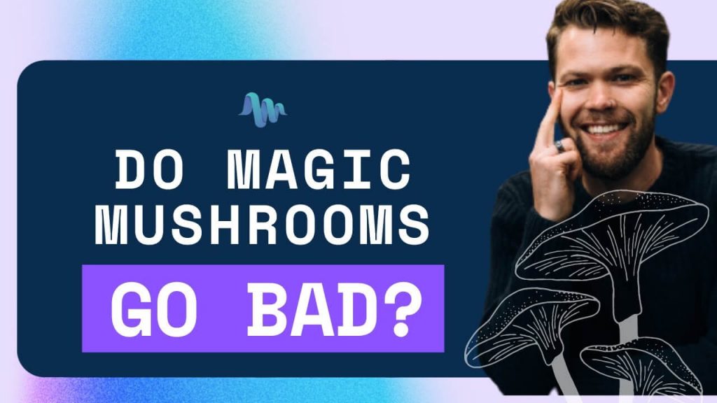 Do Magic Mushrooms Go Bad?