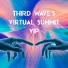 Virtual Summit VIP Cover