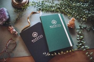 Wakeful Travel Journals for Inner Psychedelic Explorers