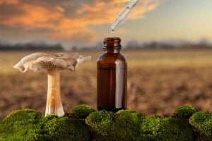 Psychedelic Mushrooms for Mental Health