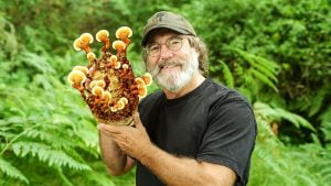 Paul Stamets - Fungi Perfecti Image