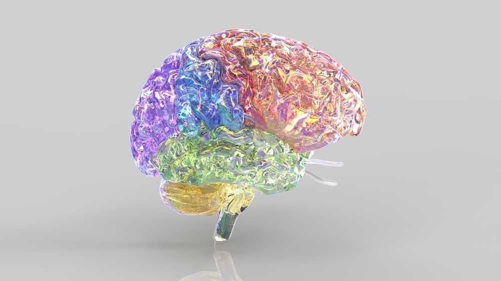 Image reflecting Hierarchical Ordering of Brain Networks science of psychedelic Visuals