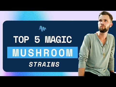 Top 5 Magic Mushrooms Strains - Third Wave