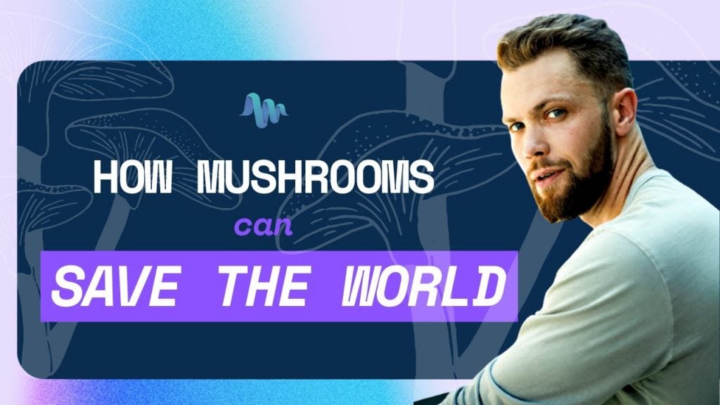 How Mushrooms Can Save the World - Third Wave