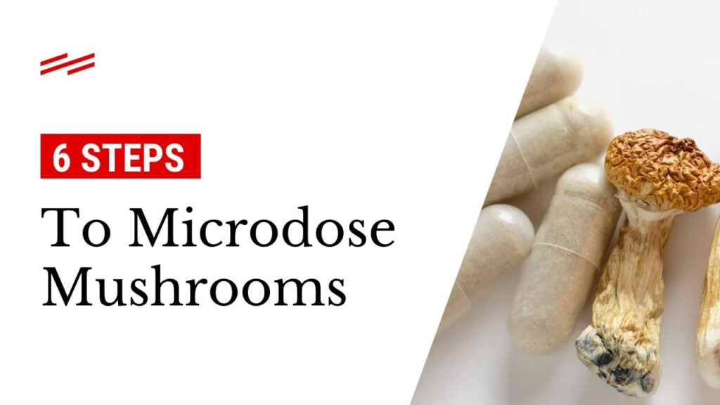 How to Microdose Mushrooms (6 Steps)
