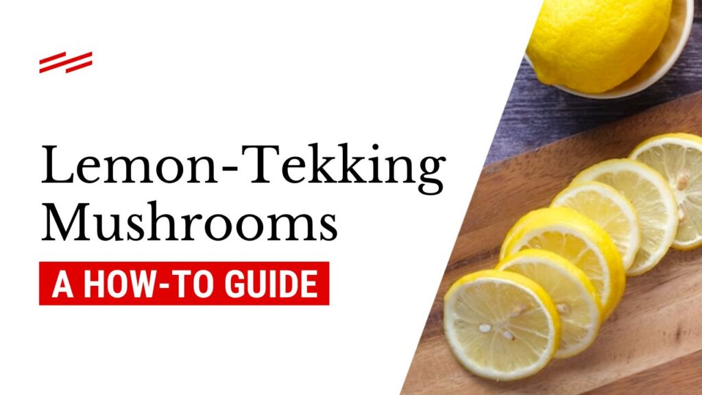 How To Make Lemon Tek For A Faster Mushroom/Truffle Trip - Zamnesia Blog