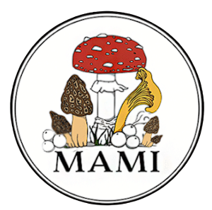 MAMI logo