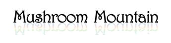 Mushroom mountain logo