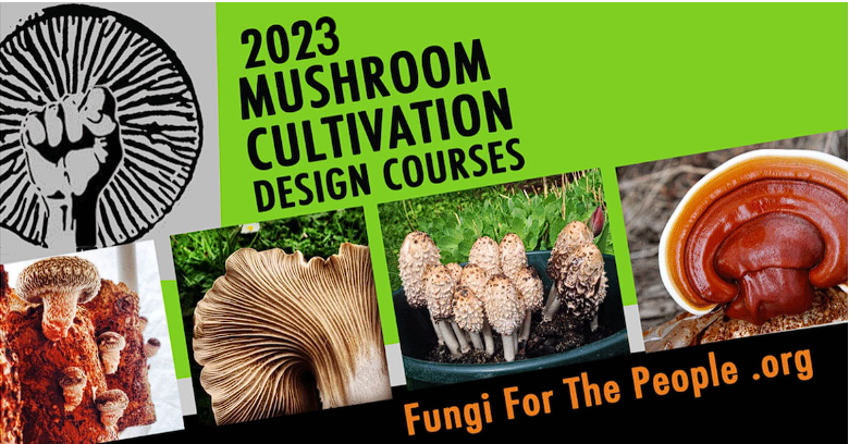 People Mushroon Cultivation