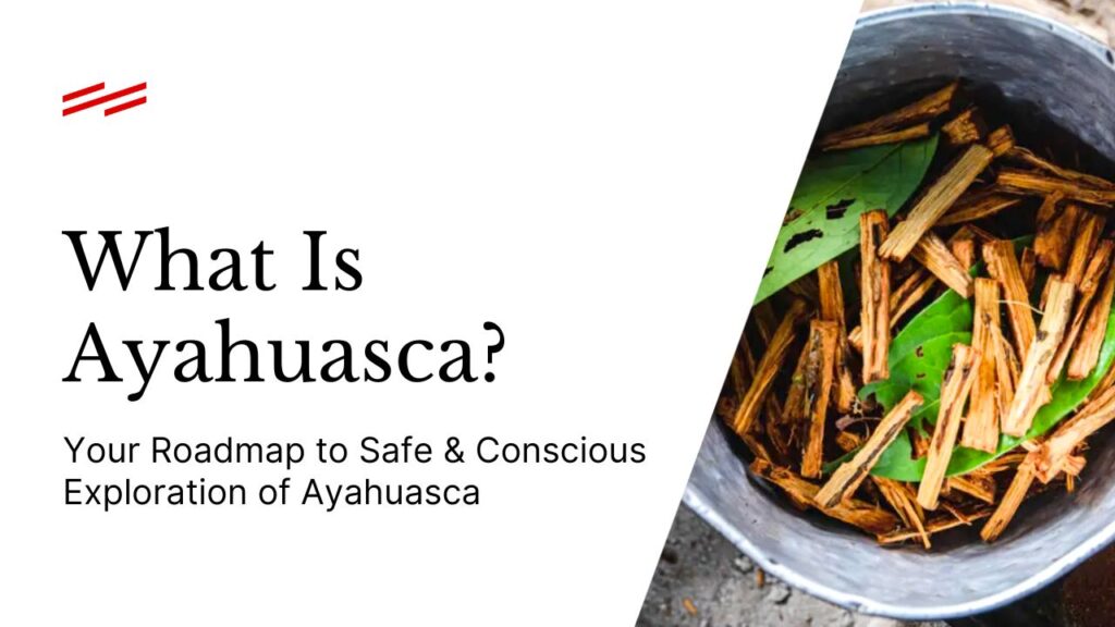 Ayahuasca Guide: What You Need to Know