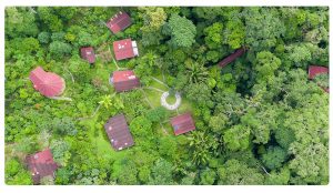 Soltara Healing Center featured on third wave blog - ayahuasca retreat