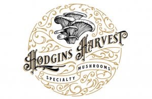 mushroom grow kit hodins harvest logo 