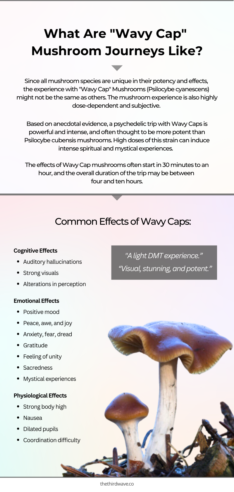 Wavy Cap Mushrooms Effects Infographic