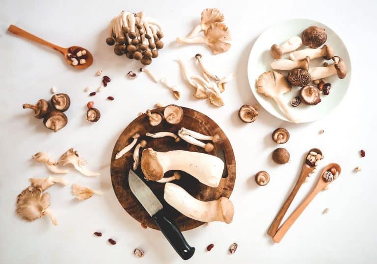 7 Best Ways to Eat Psychedelic Mushrooms