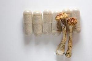 Micro dosing concept image psilocybin mushrooms for alcoholism