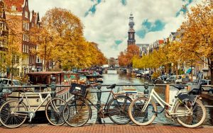 amsterdam image reflecting legal psilocybin retreats