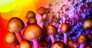 colorful psilocybin mushrooms