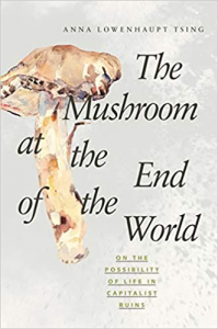 mushroom at the end of the world book cover