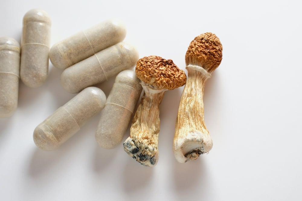 Micro dosing concept. Dry psilocybin mushrooms and herbal pills on ivory background