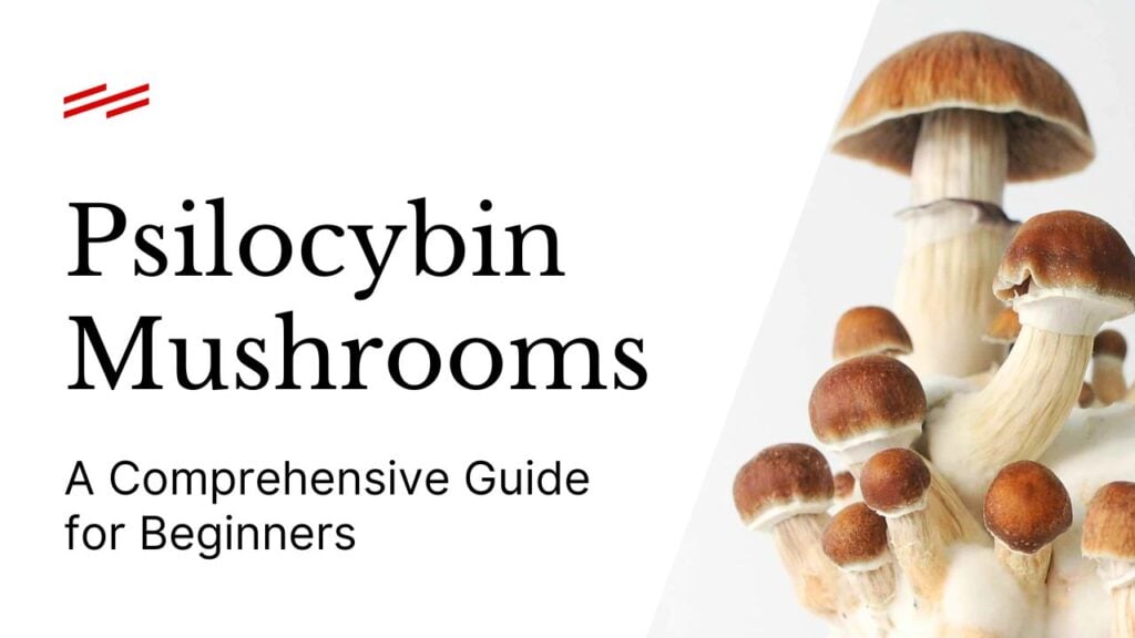 Psilocybin Mushrooms Guide: Growing, Experience, Benefits - Third Wave