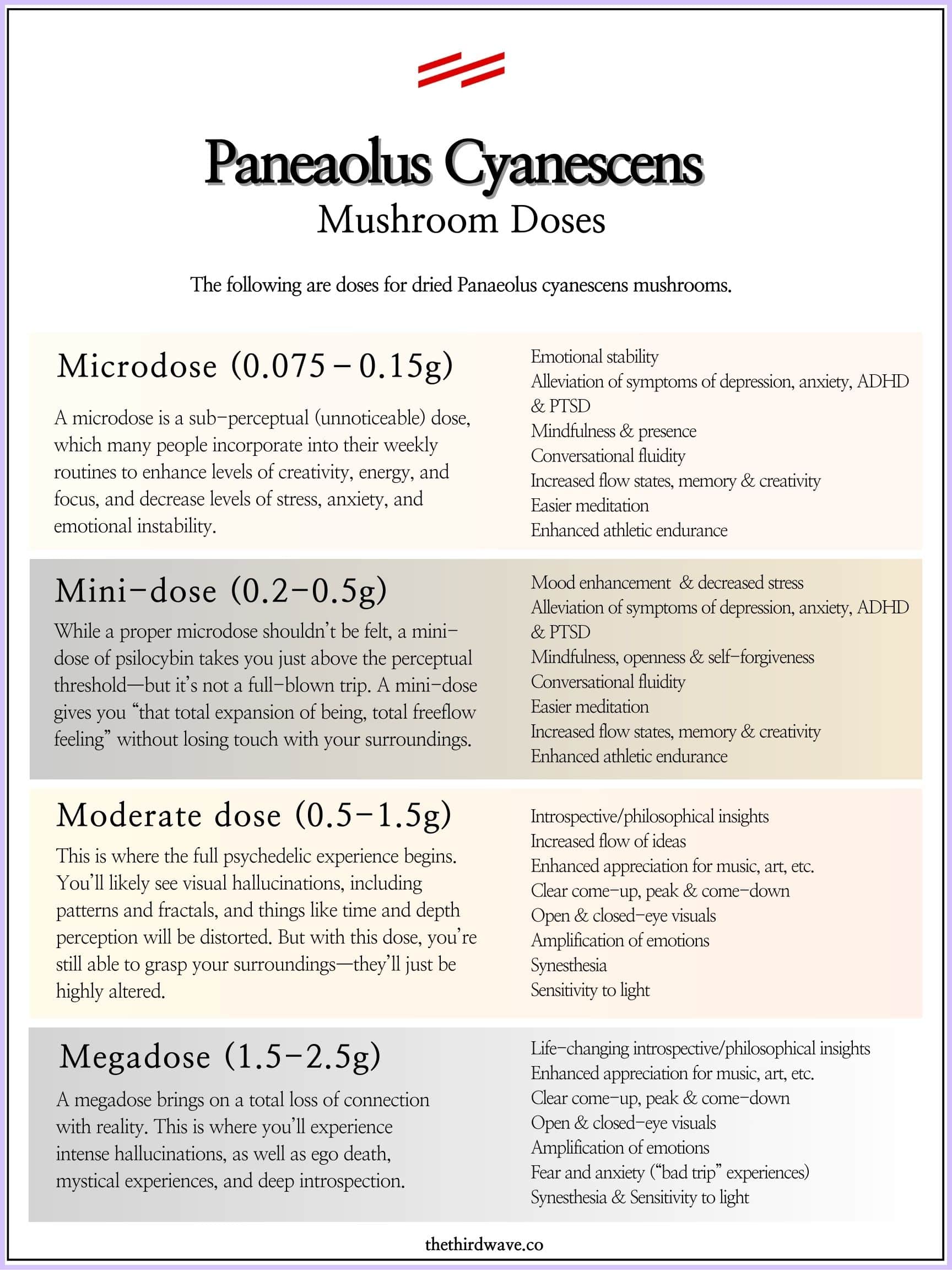 pan cyanescens mushroom doses