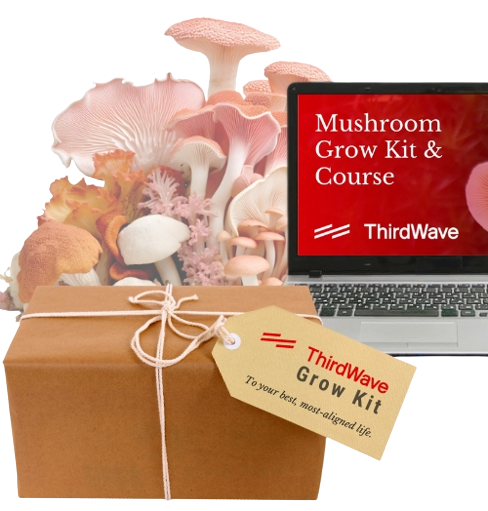 Third Wave Mushroom Grow Kit