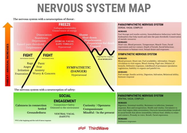 Can Psychedelics Help Heal A Dysregulated Nervous System?